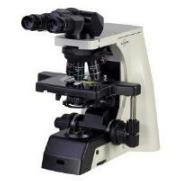 Upright Microscope