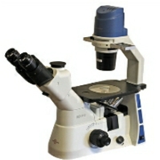 Inverted Microscope