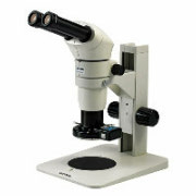 Stereo Microscope