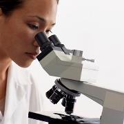 Technician looking in microscope